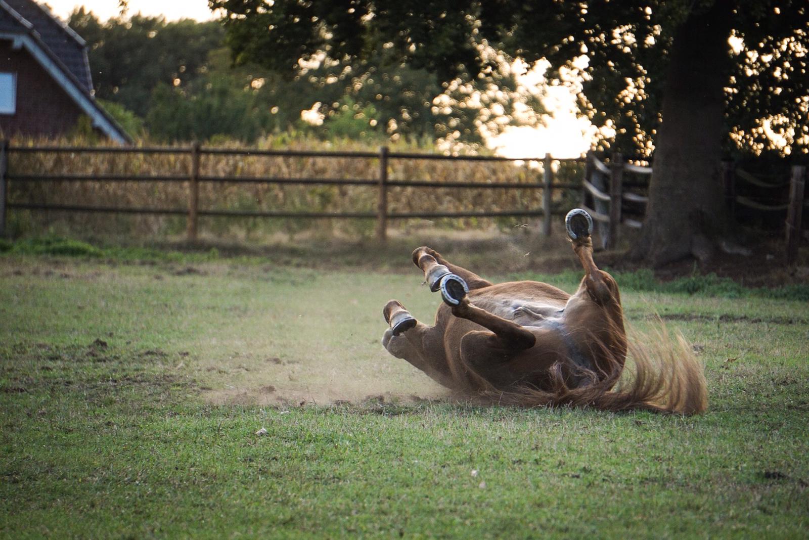 1c439085-a9bb-4a23-be36-9a5c2794c809