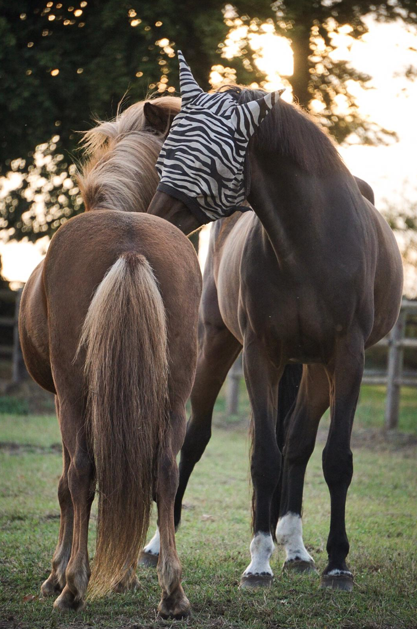 Bildschirmfoto 2023-01-26 um 21.22.17