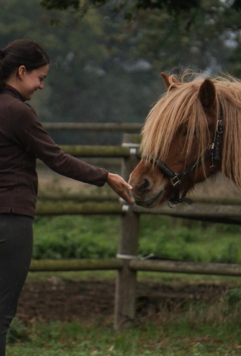 Bildschirmfoto 2023-01-30 um 13.21.56