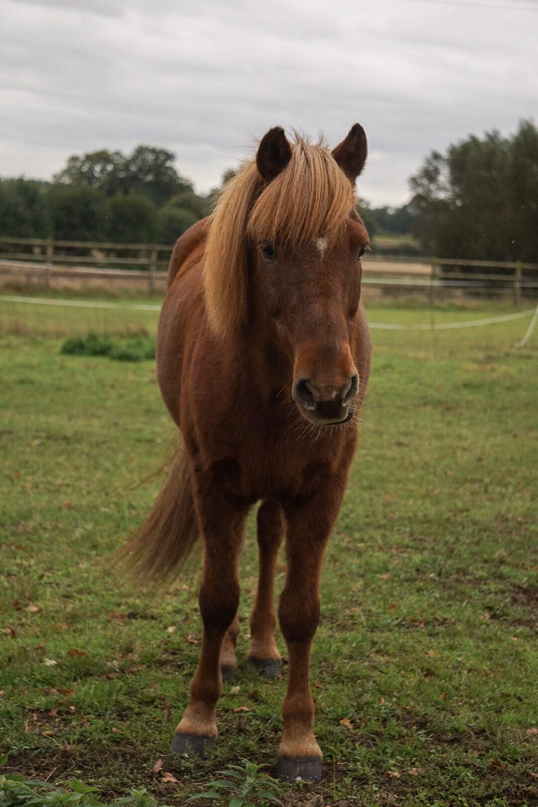 cc5dd35e-9e86-4f6e-9db1-03619d23bd94